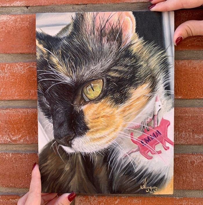 Retrato de una gata carey en lápiz de color, sostenido frente a una pared de ladrillos