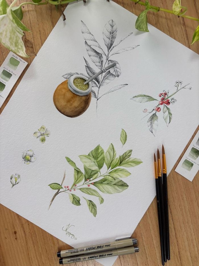 Estudio botánico: un mate dibujado a grafito junto a ramas con hojas, frutos rojos y flores blancas en acuarela